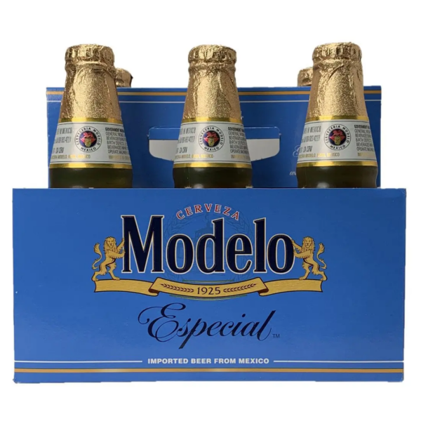 MODELO ESPECIAL NR